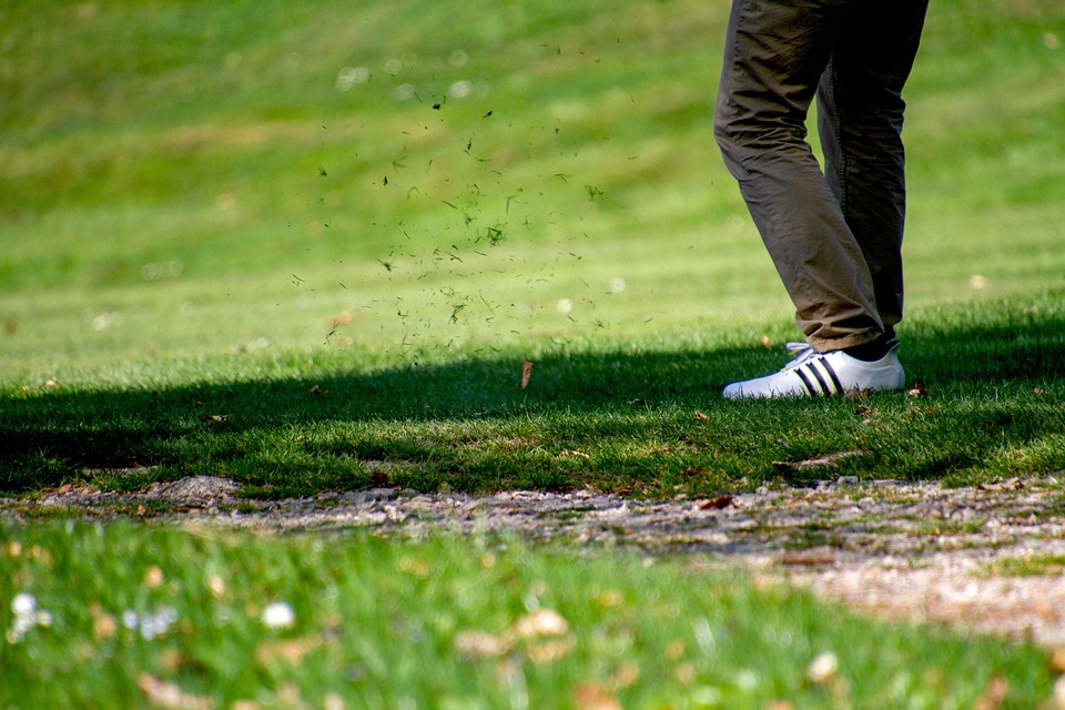 It's Too Good To Be Honest - Family Golf Centers, Inc